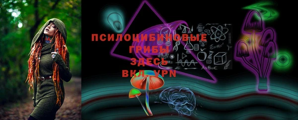 амф Алзамай
