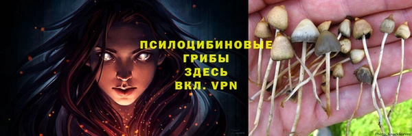 прущая мука Заводоуковск