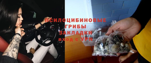 шишки Алексин