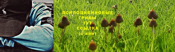 амф Алзамай
